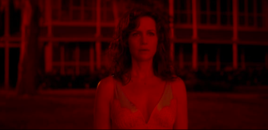 Carla Gugino dans Gerald's Game